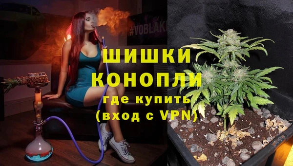 амф Балахна