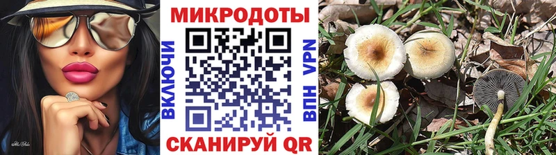 Галлюциногенные грибы ЛСД omg ссылка Велиж